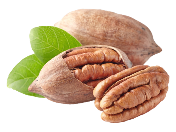 Benefits of pecan